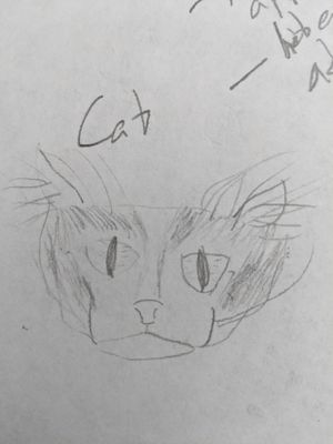 Loose attempt at drawing a cat face